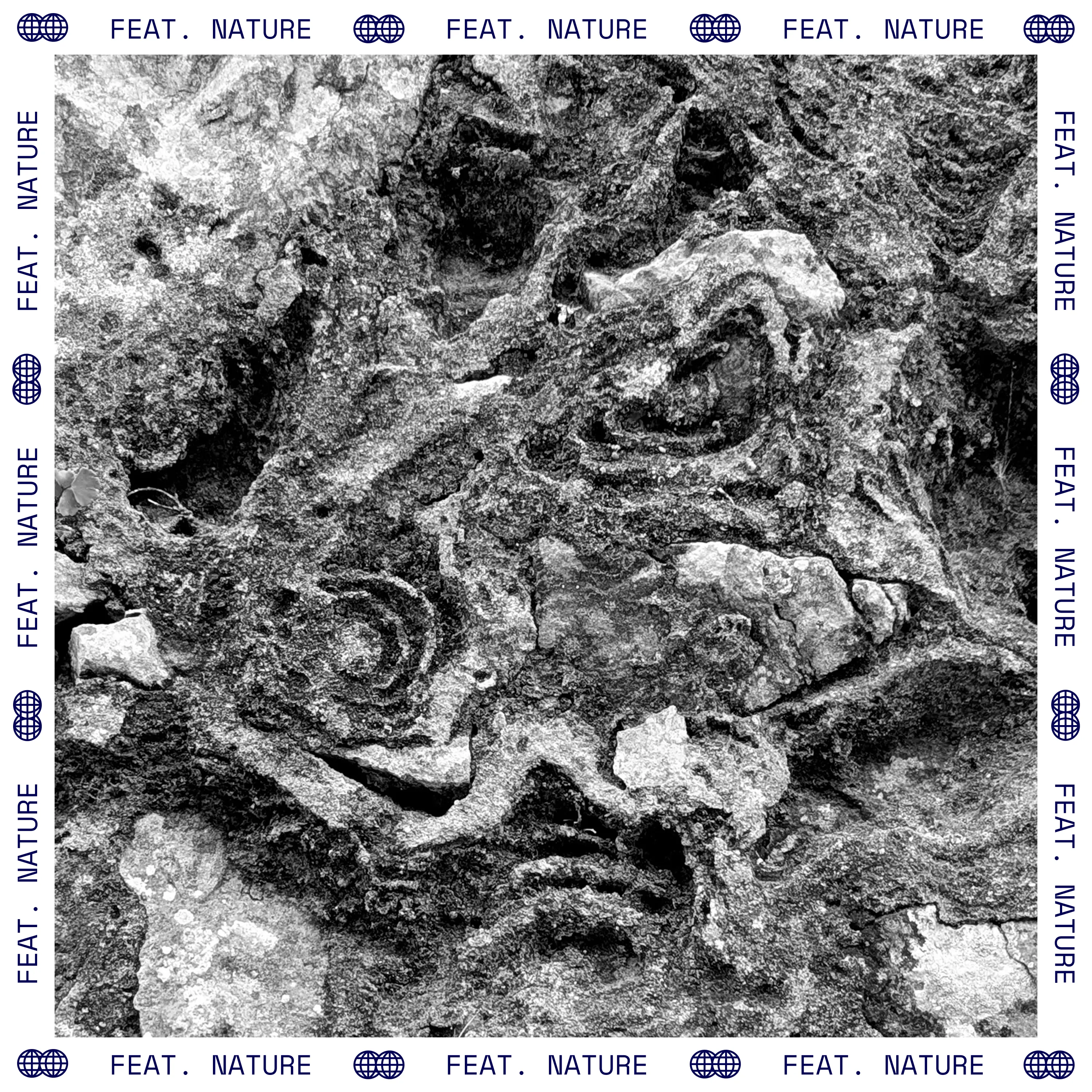 Nature - LichenLoves