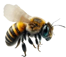 buzz buzz buzz