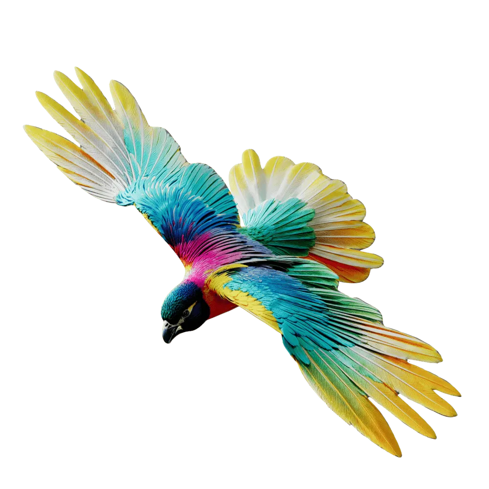 flying bird 1
