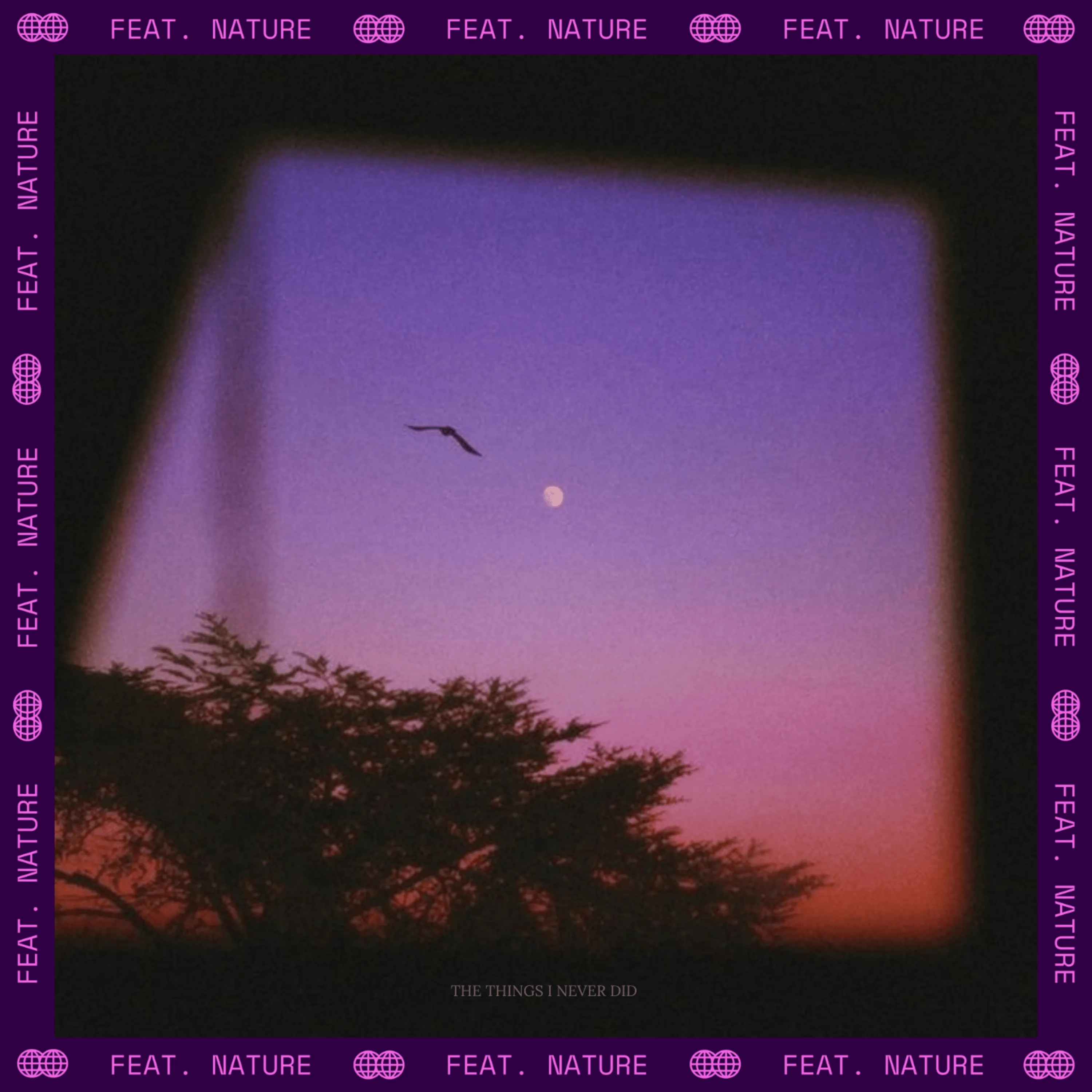 Nature - thethingsineverdid